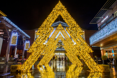 Budgeting for Impact with Holiday Lighting