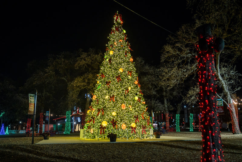 30 foot pre lit tree in a park 