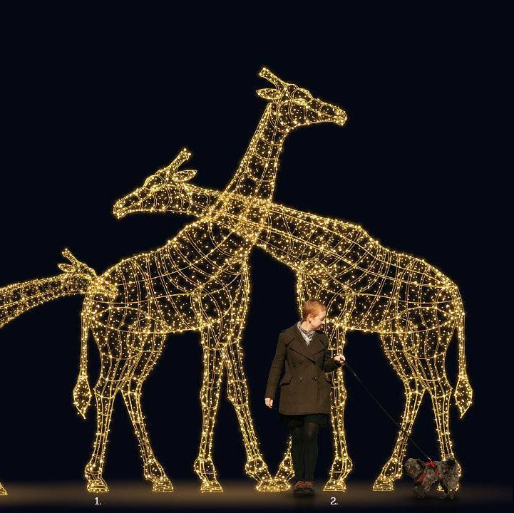 Giant Pre-Lit LED Giraffe Pair